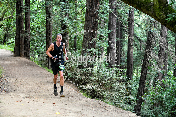 Coastal_RedwoodSummer-133