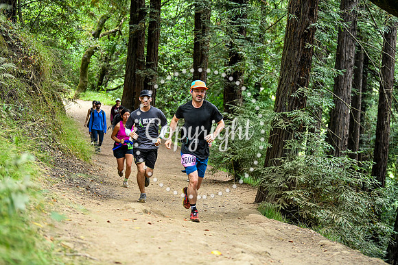 Coastal_RedwoodSummer-121