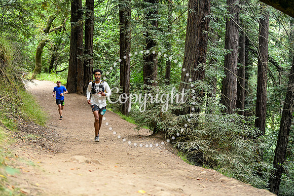 Coastal_RedwoodSummer-062
