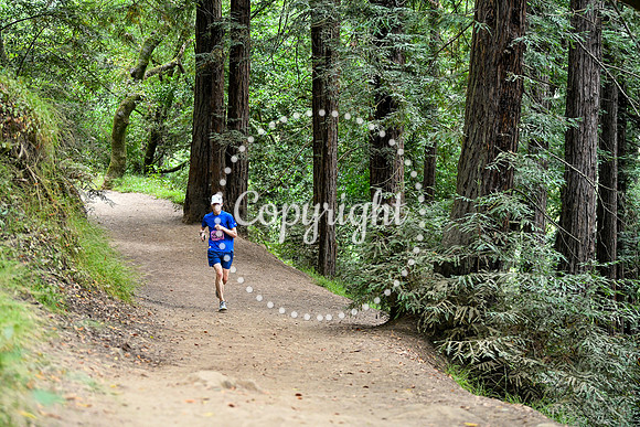 Coastal_RedwoodSummer-148