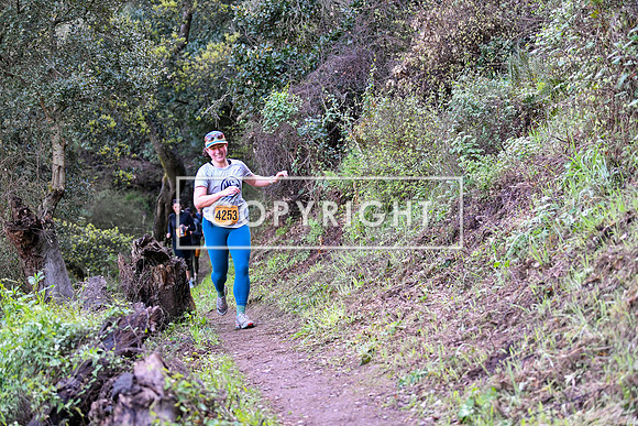 Angel Island-067