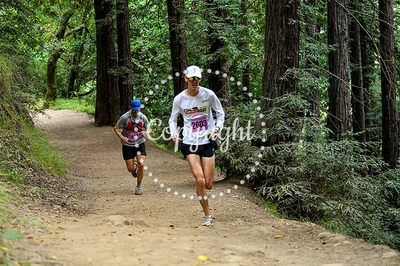 Coastal_RedwoodSummer-152
