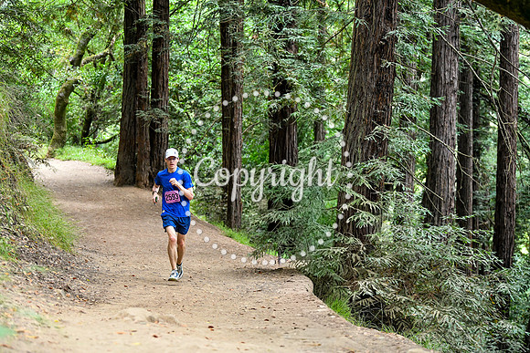 Coastal_RedwoodSummer-145