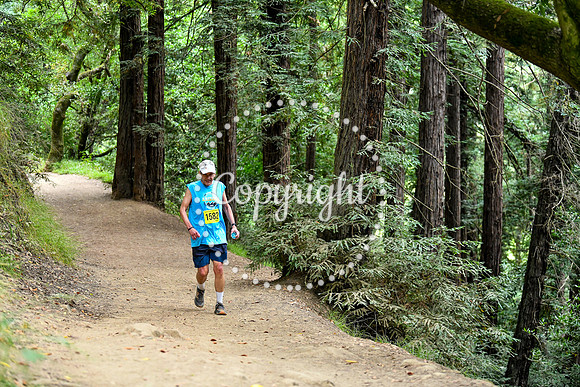 Coastal_RedwoodSummer-160