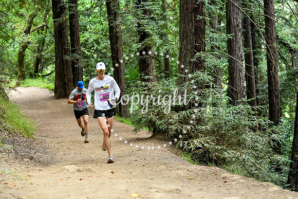 Coastal_RedwoodSummer-153