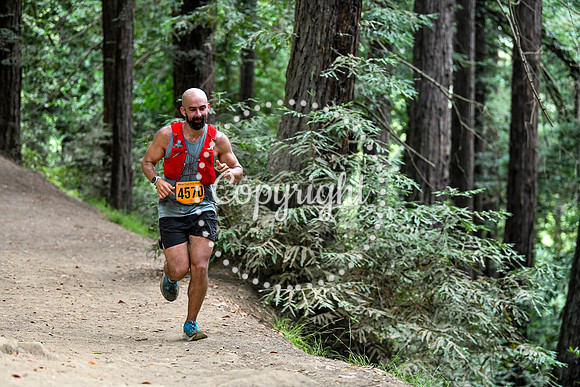 Coastal_RedwoodSummer-033