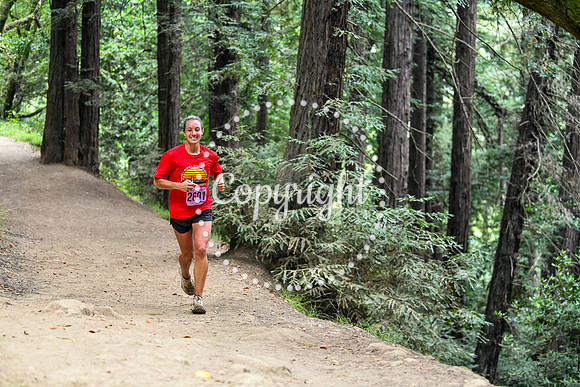 Coastal_RedwoodSummer-068