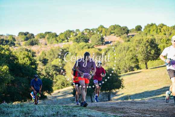 Coastal_Chabot-0134