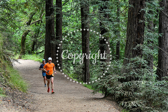 Coastal_RedwoodSummer-095