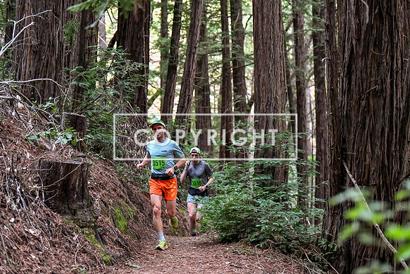 Crystal Springs-0005