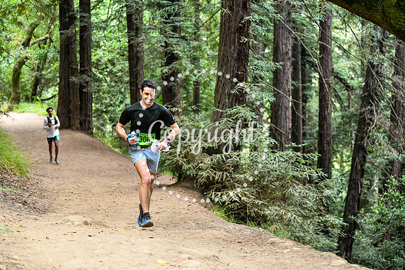 Coastal_RedwoodSummer-064