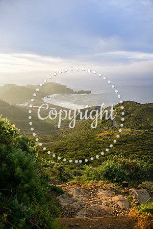 GoldenGate_Coastal-0001
