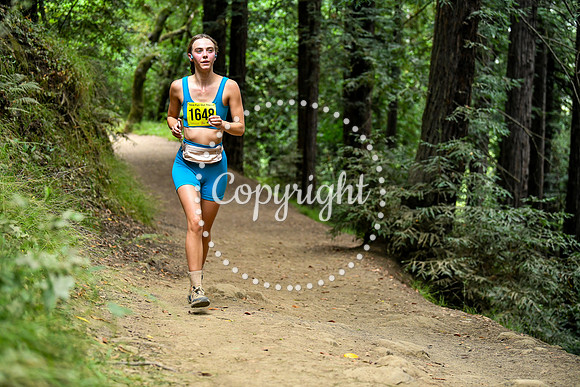 Coastal_RedwoodSummer-014
