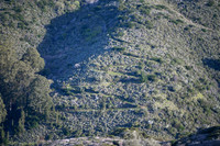 Coastal_Montera-0002