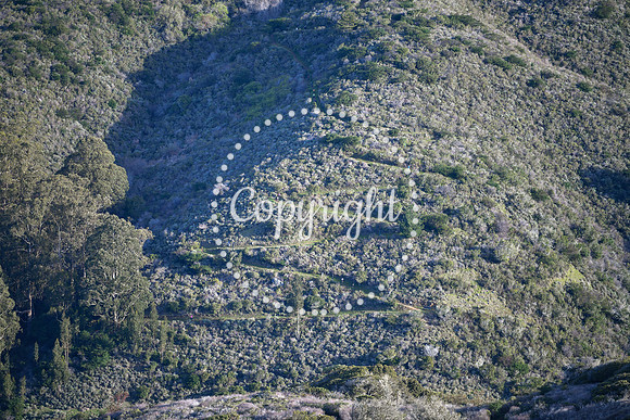 Coastal_Montera-0002