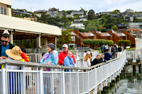 Coastal_AngelIsland-012