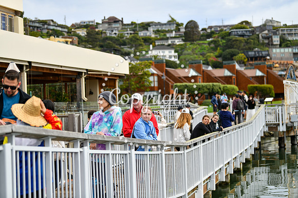 Coastal_AngelIsland-012