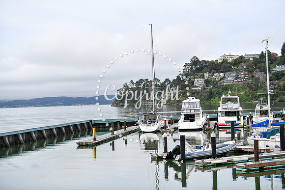Coastal_AngelIsland-014