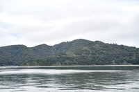 Coastal_AngelIsland-016