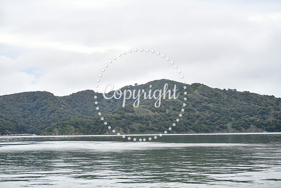 Coastal_AngelIsland-016