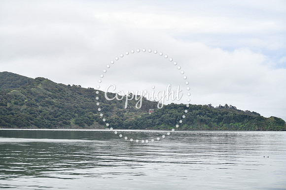 Coastal_AngelIsland-017