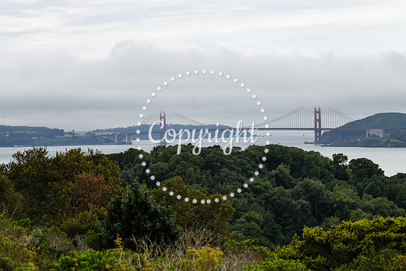 Coastal_AngelIsland-032