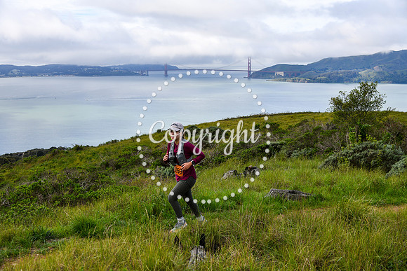 Coastal_AngelIsland-056