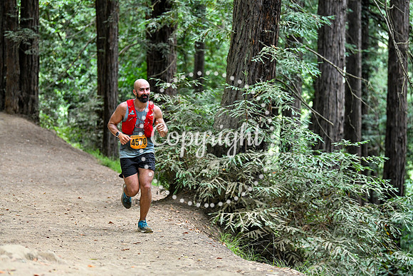 Coastal_RedwoodSummer-037