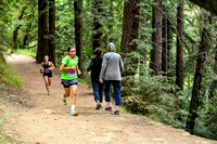 Coastal_RedwoodSummer-005