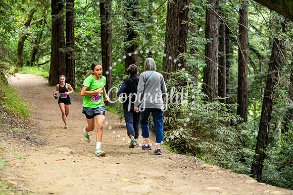 Coastal_RedwoodSummer-005