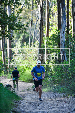 Coastal Redwoods-0004