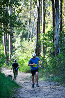 Coastal Redwoods-0003