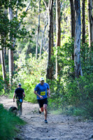 Coastal Spring Redwoods 2026
