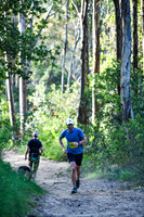 Coastal Redwoods-0002