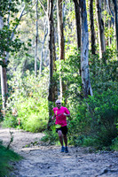Coastal Redwoods-0013