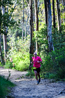 Coastal Redwoods-0015