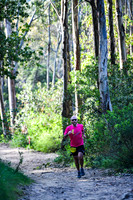 Coastal Redwoods-0014