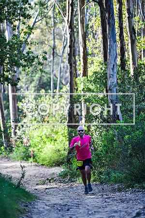 Coastal Redwoods-0014