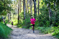 Coastal Redwoods-0016