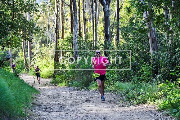 Coastal Redwoods-0016