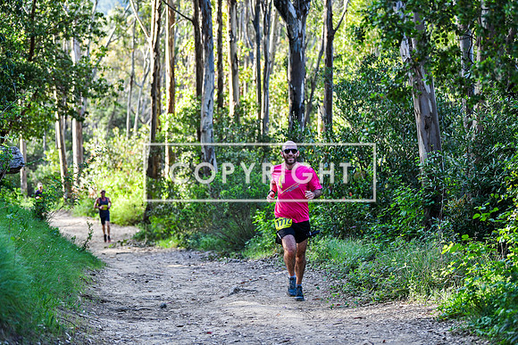 Coastal Redwoods-0018