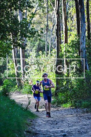 Coastal Redwoods-0021