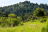 1/2, Marathon, 30K and 50K