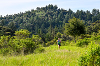Coastal_HorseshoeLake2026-2