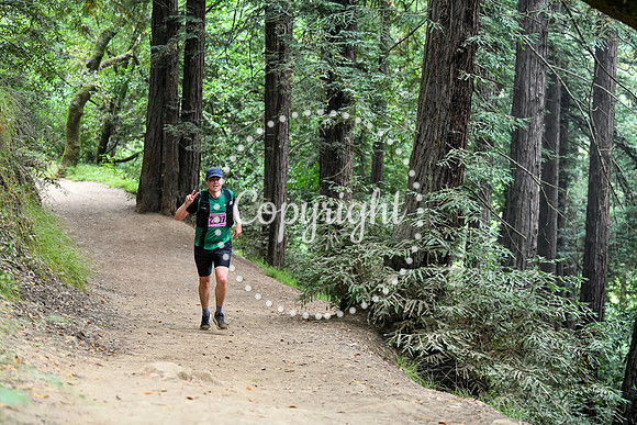 Coastal_RedwoodSummer-079