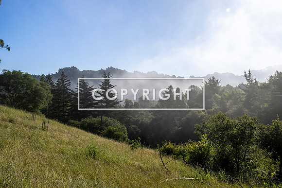 Coastal_GrizzlyPeak_trail-5