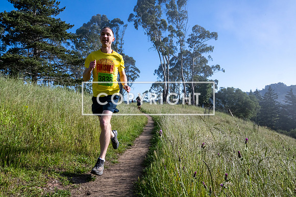 Coastal_GrizzlyPeak_trail-8