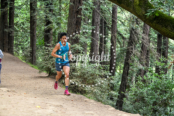 Coastal_RedwoodSummer-087