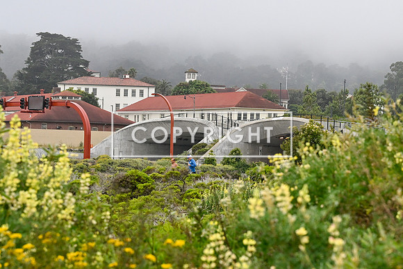 CoastalSFHalfDay2026-40