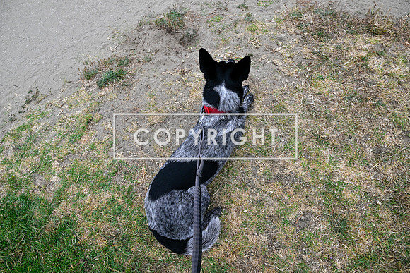 CoastalSFHalfDay2026-701